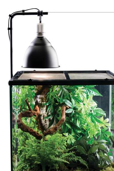 Preview: Exo Terra Lichtklammer